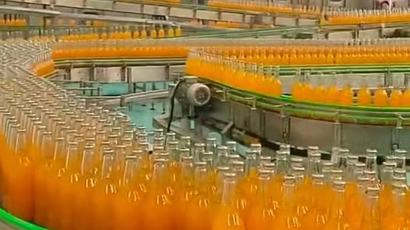 肉类加工设备材质选择与安装要点解析